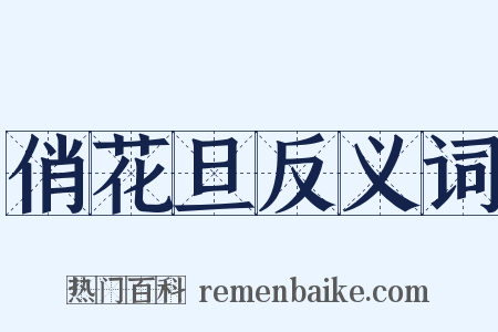 俏花旦反义词是什么意思的图片